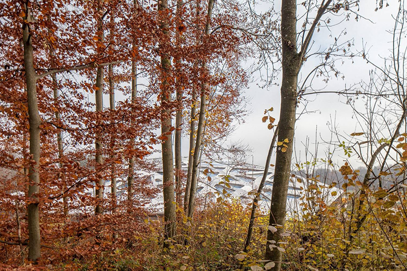 膜結(jié)構(gòu) 膜結(jié)構(gòu)