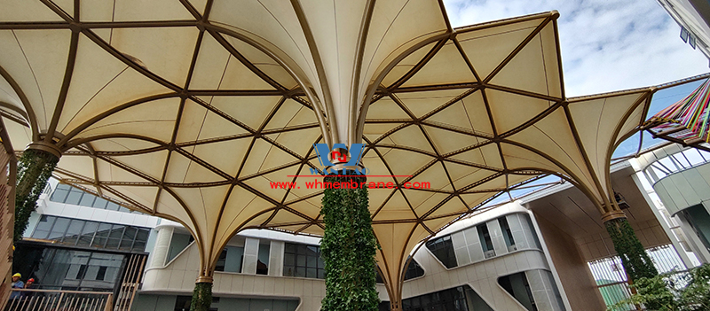 中國東盟特色商品匯聚中心膜鋼構(gòu)項目