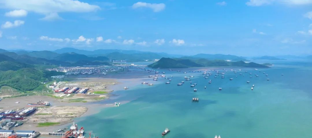 奉化區(qū)桐照漁港品質(zhì)提升項目開始施工