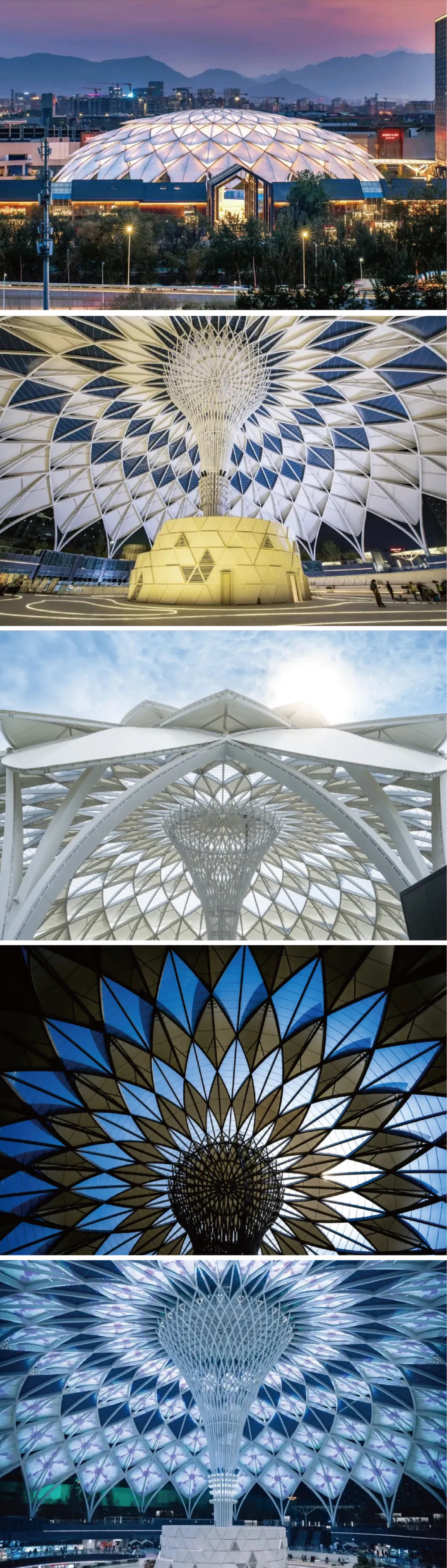 膜結構的魅力—穹頂天幕的魔法時刻 膜結構的魅力—穹頂天幕的魔法時刻