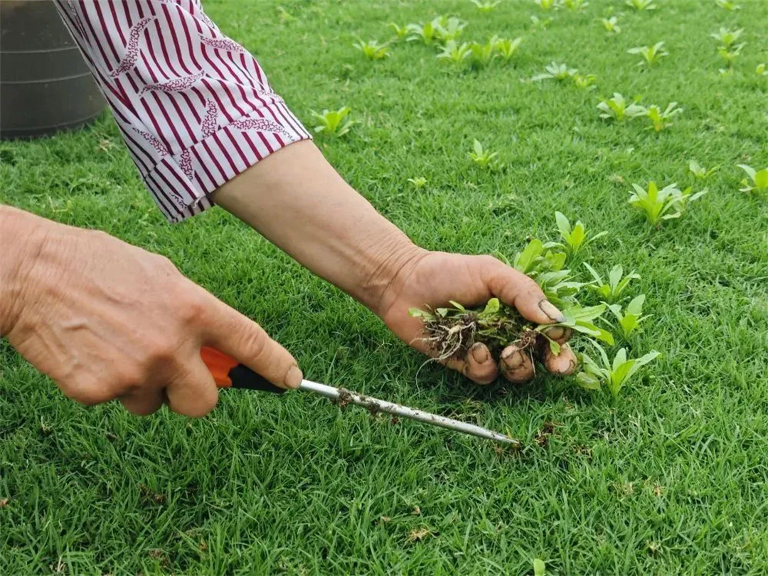 萬豪集團匠心助力,6月齊聚重慶龍興足球場為國足吶喊助威! 萬豪集團匠心助力,6月齊聚重慶龍興足球場為國足吶喊助威!